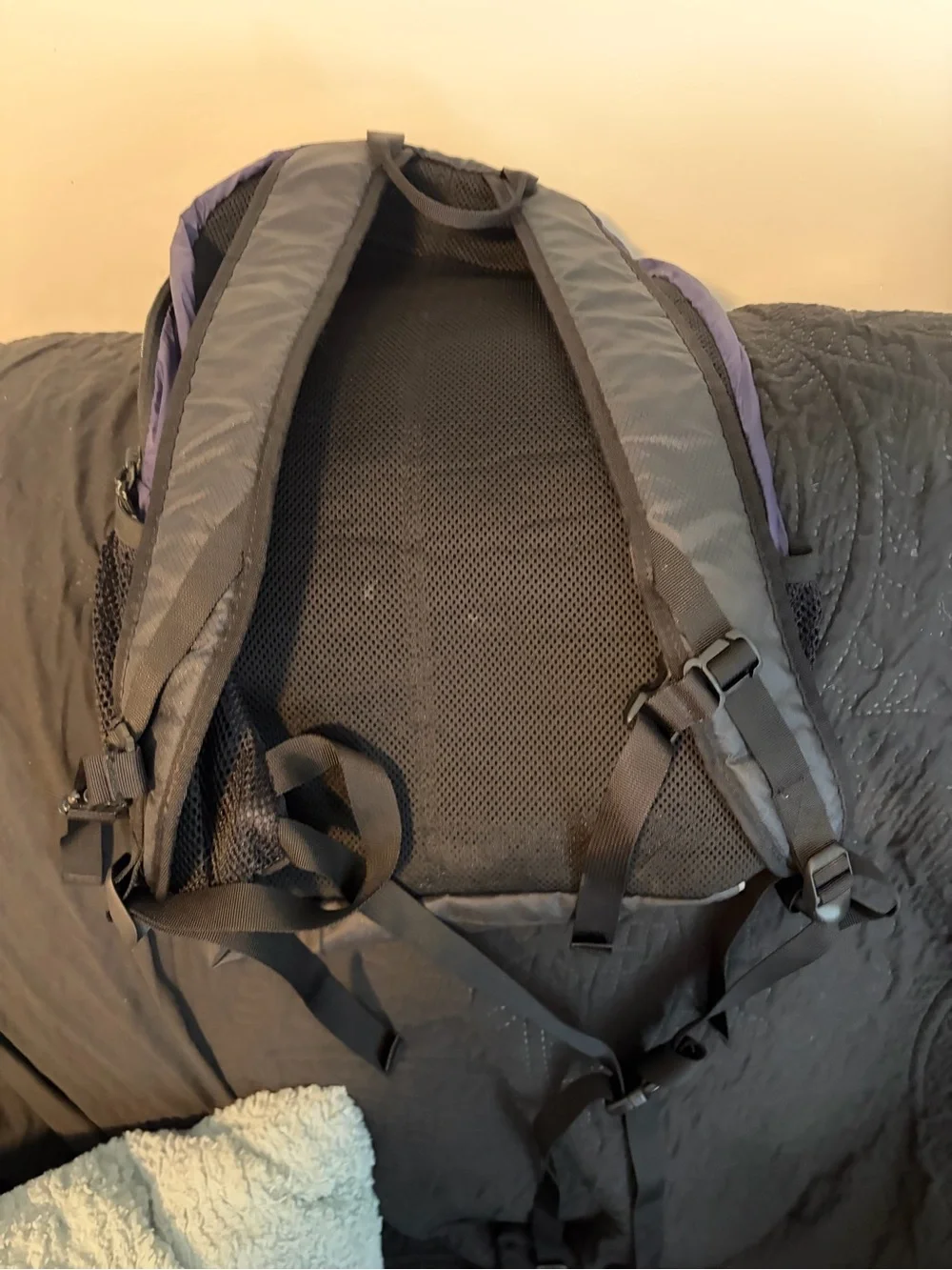 L.L. Bean Stowaway Men’s Backpack — Purple and Black